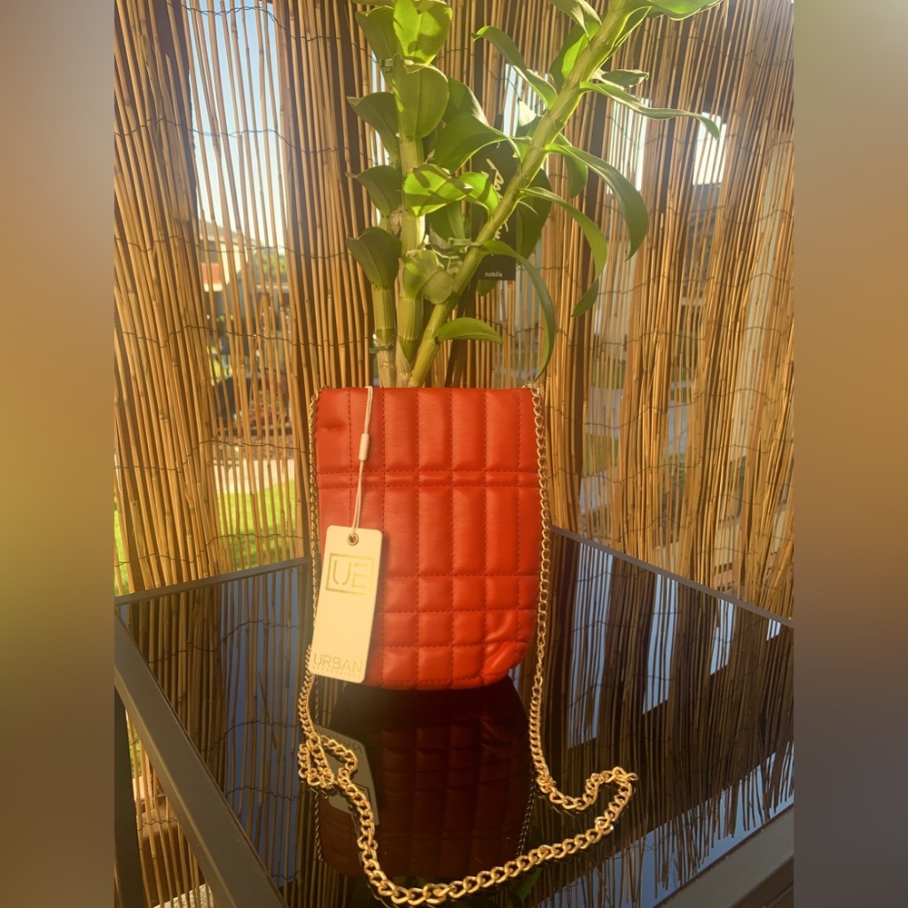 Crossbody bag with safe magnetic snap and chain strap. NWT. Red and gold accents